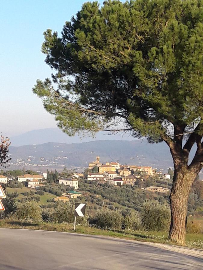 B&B Cum Grano Salis Castello delle Forme Esterno foto