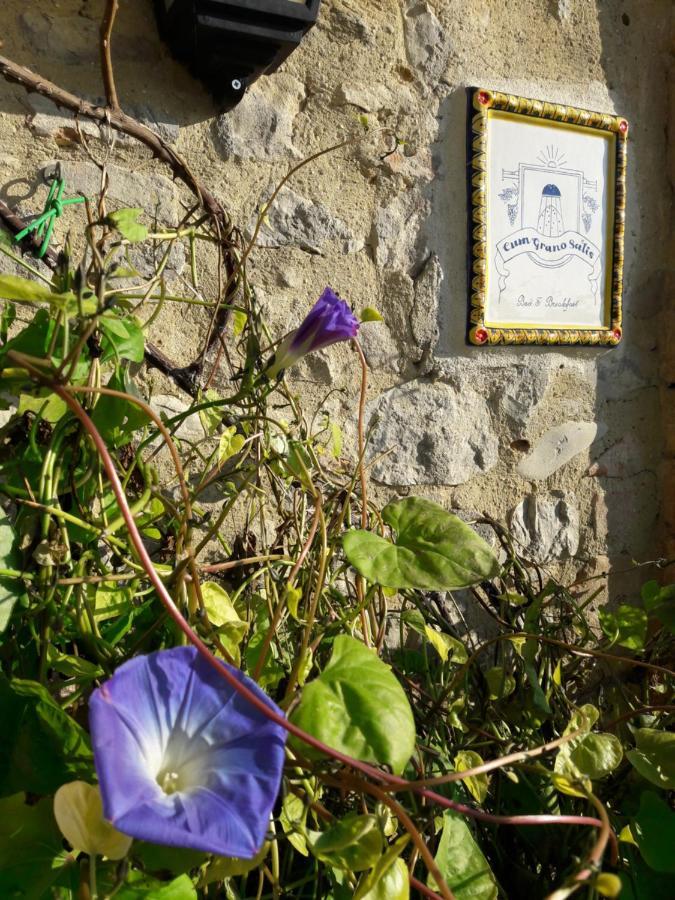 B&B Cum Grano Salis Castello delle Forme Esterno foto